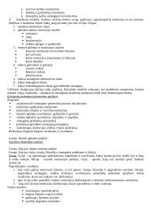 Strateginio valdymo mokslas 11 puslapis