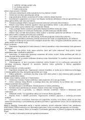 Strateginio valdymo mokslas 12 puslapis