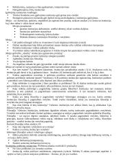 Strateginio valdymo mokslas 13 puslapis