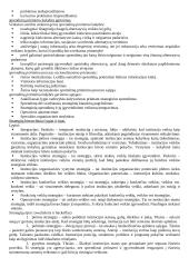 Strateginio valdymo mokslas 17 puslapis