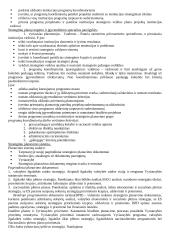 Strateginio valdymo mokslas 19 puslapis