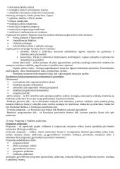 Strateginio valdymo mokslas 20 puslapis