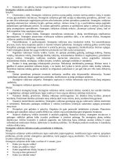 Strateginio valdymo mokslas 3 puslapis