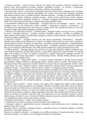 Strateginio valdymo mokslas 5 puslapis