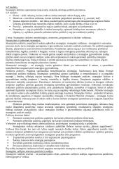 Strateginio valdymo mokslas 6 puslapis