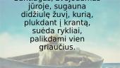 „Senis ir jūra“ Ernestas Hemingvėjus 2 puslapis