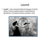 Sakmių laumė
