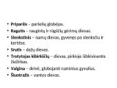 Sakmių laumė 14 puslapis