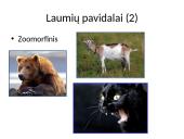 Sakmių laumė 3 puslapis