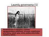 Sakmių laumė 7 puslapis