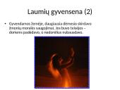 Sakmių laumė 8 puslapis