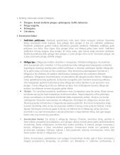 Santaupos ir paskolos. Investicijos