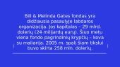 Bilas Geitsas 4 puslapis