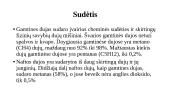 Naftos ir gamtinės dujos  3 puslapis