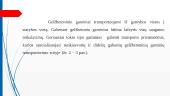 Skaidres SURENKAMO GELŽBETONIO GAMINIAI:  SIJOS, RYGELIAI, SĄRAMOS 13 puslapis