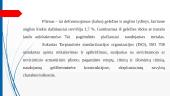 Skaidres SURENKAMO GELŽBETONIO GAMINIAI:  SIJOS, RYGELIAI, SĄRAMOS 9 puslapis