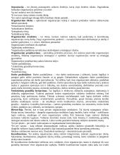 Vadybos teorija ir planavimas 2 puslapis