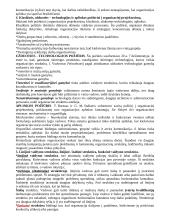 Vadybos teorija ir planavimas 3 puslapis