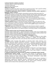 Vadybos teorija ir planavimas 4 puslapis