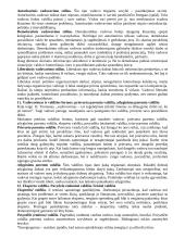 Vadybos teorija ir planavimas 6 puslapis