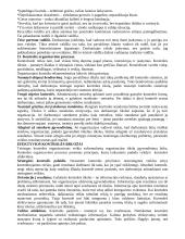 Vadybos teorija ir planavimas 7 puslapis