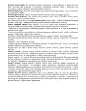 Vadybos teorija ir planavimas 8 puslapis