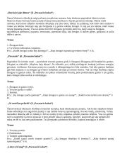 Išsamus literatūros konspektas 11 puslapis