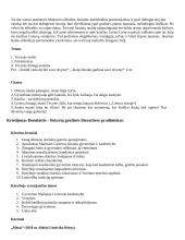 Išsamus literatūros konspektas 12 puslapis