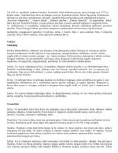 Išsamus literatūros konspektas 13 puslapis