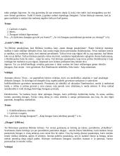 Išsamus literatūros konspektas 17 puslapis