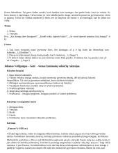 Išsamus literatūros konspektas 18 puslapis