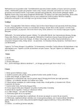 Išsamus literatūros konspektas 19 puslapis