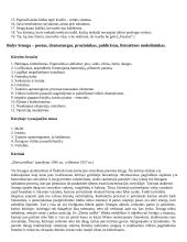 Išsamus literatūros konspektas 20 puslapis