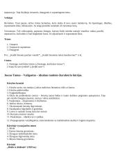 Išsamus literatūros konspektas 4 puslapis