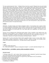 Išsamus literatūros konspektas 5 puslapis