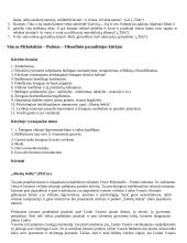 Išsamus literatūros konspektas 7 puslapis