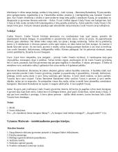 Išsamus literatūros konspektas 8 puslapis