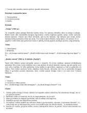 Išsamus literatūros konspektas 9 puslapis