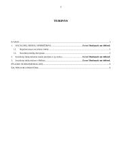 Socialinių tinklų svarba įmonės veikloje 2 puslapis