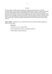 Socialinių tinklų svarba įmonės veikloje 3 puslapis