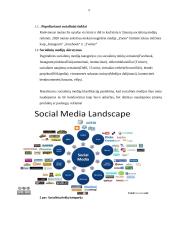 Socialinių tinklų svarba įmonės veikloje 5 puslapis
