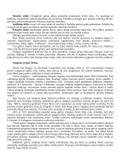 Galinės smegenys (didieji pusrutuliai) ir jų funkcijos 2 puslapis