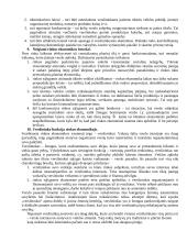 Verslo organizavimo teorija atsiskaitymui 3 puslapis