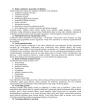 Verslo organizavimo teorija atsiskaitymui 4 puslapis