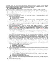 Verslo organizavimo teorija atsiskaitymui 5 puslapis