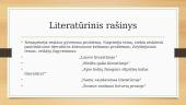 Medžiaga literatūriniam rašiniui  2 puslapis