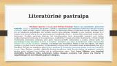 Medžiaga literatūriniam rašiniui  11 puslapis