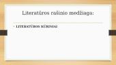 Medžiaga literatūriniam rašiniui  3 puslapis