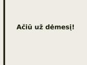 Elektroninė bankininkystė ir paslaugos 6 puslapis