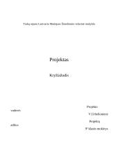 Istorijos kryžiažodis apie Lietuvos valstybės atkūrimą 4 puslapis